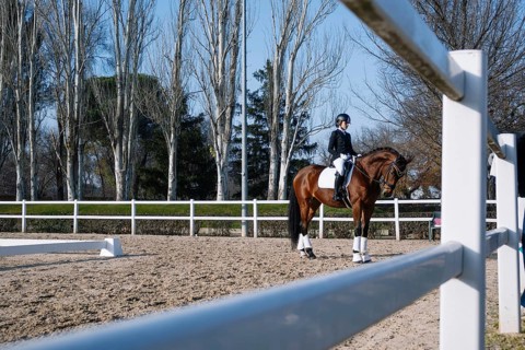 A rider in formal attire practices classical dressage on a chestnut horse in an outdoor arena The