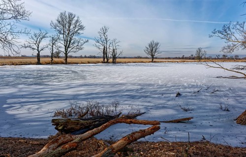 Ice and snow-covered foothills of the Oder in the area of the Schwedt lock in the Lower Oder Valley