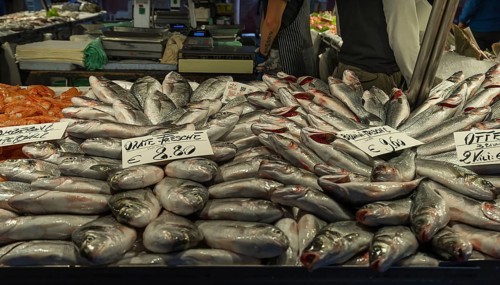 Fresh sea bream (Bramidae) at the fish market, Venice, Veneto, Italy