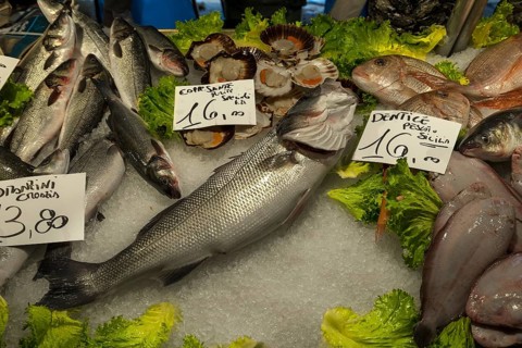 Fresh fish on ice, fish market, rialto market in the San Polo district, Venice, Veneto, Italy