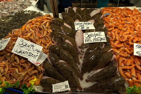 Fresh flounders (Platichthys flesus), left scampi (scampo), right langoustines (Palinuridae) on