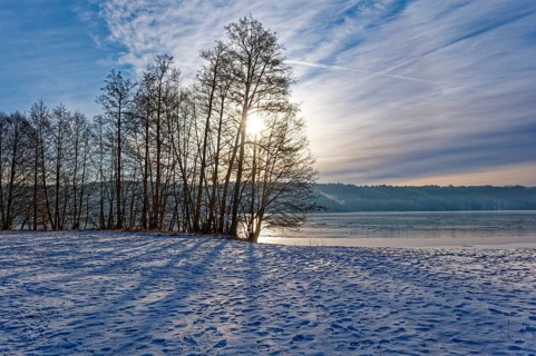 There is snow on the shore and the sun shines through the bare winter trees on Lake Werbellin in
