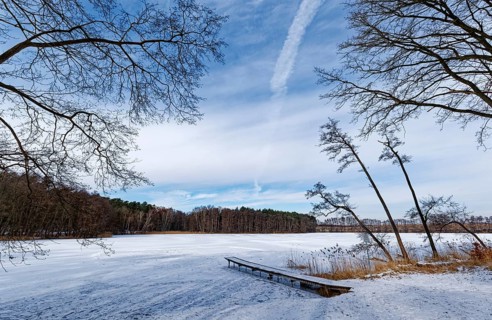 Winter day at the swimming area and jetty on the snow-covered Heiliger See, a lake in the Grumsin