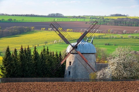 Field landscape with tower windmill, view over the Lanitz-Hassel valley in spring, blooming cherry