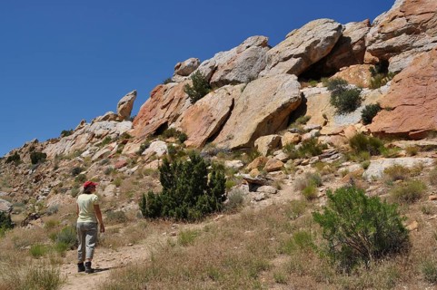 A person wanders along rocky landscape under clear skies, Dinosaur National Monument, Utah, USA