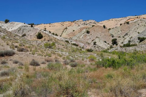 Colourful hills with sparse vegetation and clear skies in desert-like surroundings, Dinosaur