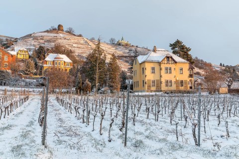 Twilight view of Oberlößnitz vineyards in snow with Bismarck Tower and Spitzhaus, Radebeul, Saxony,