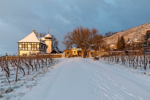 Sunrise at the Hoflössnitz winery in winter, Oberlössnitz in the snow, Radebeul, Saxony, Germany