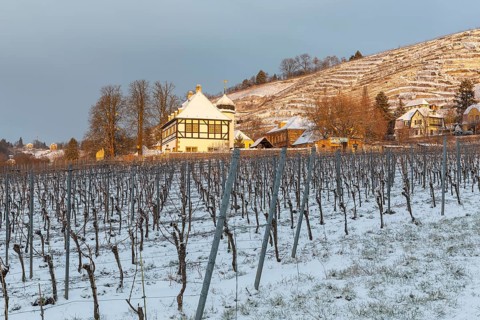 First rays of sunshine at the Hoflössnitz winery in winter, Oberlößnitz in the snow, Goldener Wagen