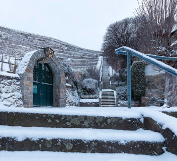 Spitzhaustreppe und Gates zum vineyard Goldener Wagen im Schnee, Oberlössnitz, Radebeul, Saxony,