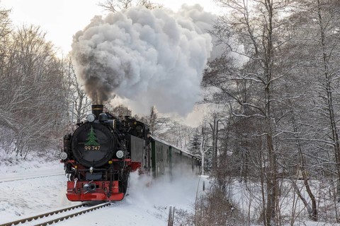 Lößnitzgrundbahn in snow, narrow-gauge railway steam locomotive between Radebeul and Radeburg, here