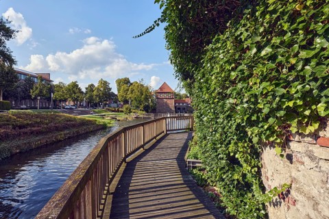Mühlenstever, river Stever, wooden footbridge, wooden railing, wall, common ivy (Hedera helix),