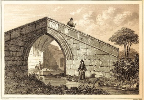 Trinity Bridge, Crowland, Peterborough, United Kingdom, pointed bridge over stream, nature, tree,