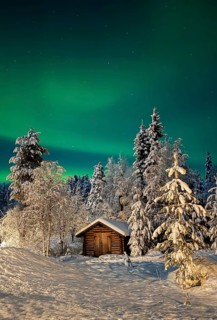Northern lights, aurora borealis in the night sky, wooden cabin in snowy landscape, Oulanka