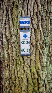 Two signs attached to rough tree bark, reference to hiking trails, Frankenwaldsteigla, hiking on