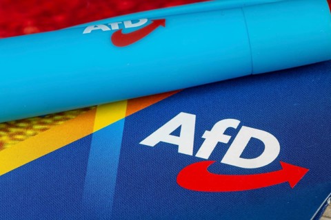 AfD symbolic image: close-up of a flyer and ballpoint pen