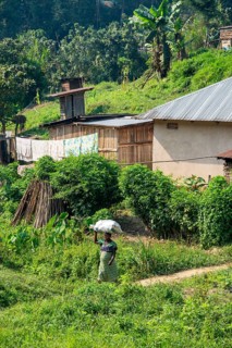 Local woman carrying luggage on her head, small village between green hills, on the edge of the
