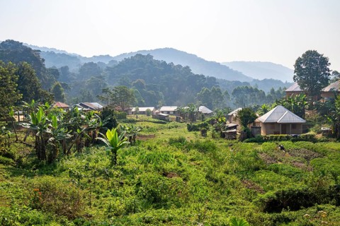 Small village nestled between green hills, on the edge of the Bwindi Impenetrable Forest, Rushaga,