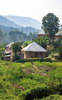 Small village nestled between green hills, on the edge of the Bwindi Impenetrable Forest, Rushaga,