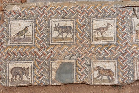 May 17th 2024. Carthage, Tunisia Mosaics at the ancient archaeological ruins of the Phoenician city