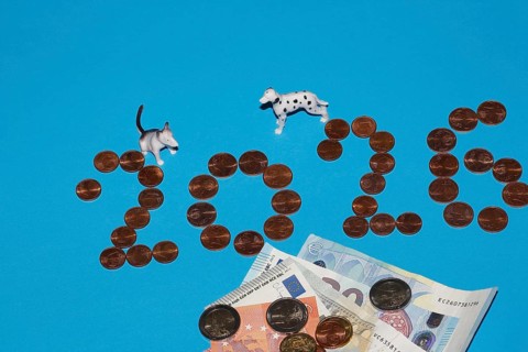 Bull terrier and Dalmatian miniature figure standing on a blue background with euro coins and