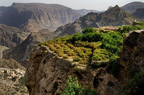 The green mountains called Jebel Akhdar of the Hajar mountain range, the harsh interior of Oman,