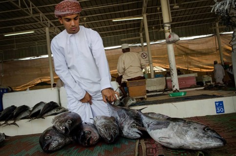 Muscat, Oman. May 26th 2014 Buying and selling inside Muscat Fish Market, Oman