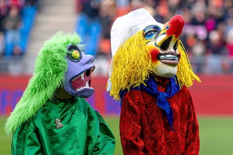 Carnival reveler with a large red nose, Basel, Switzerland