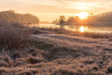 Wintery morning mood, Elbe meadows with hoarfrost, sunrise over the Elbe, Coswig, Saxony, Germany