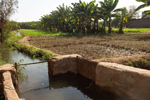 Irrigation channels and canals bringing water from the River Nile to feed plants and water
