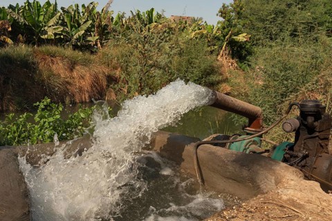 Water being pumped out of the River Nile into irrigation canals to feed water intensive crops of