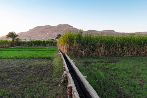 An Egyptian farm irrigation system to channel water from the River Nile to sugar cane plantations