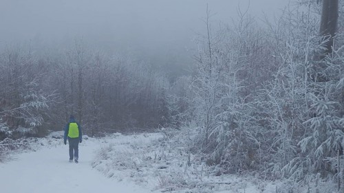 Individual hiker on a snowy forest trail in a foggy winter landscape, hiking on the Rennsteig in