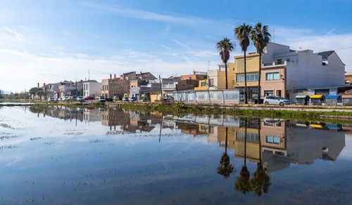 El palmar fishing village and palm trees mirrored in calm flooded rice paddies of albufera natural
