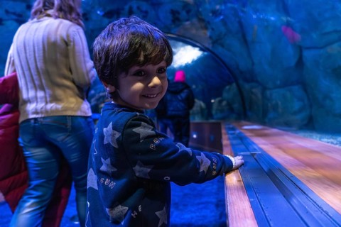 Young child with dark hair smiles, looking over shoulder while enjoying an immersive visit to an