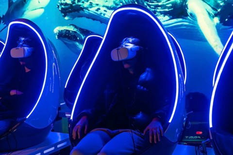 Young woman experiencing a virtual reality underwater whale and shark simulation, sitting in a