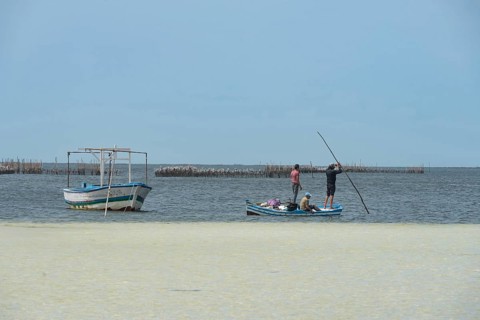 Kerkennah Islands Tunisia. June 4th 2024 Local Kerkennah fishermen who use unique techniques to