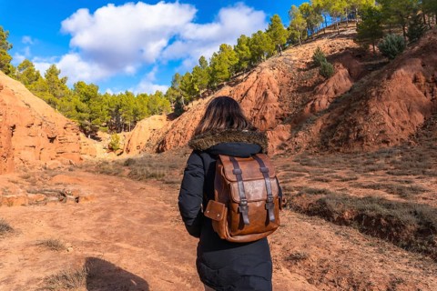 Woman with a leather backpack walking along a dirt path through the striking geological formations