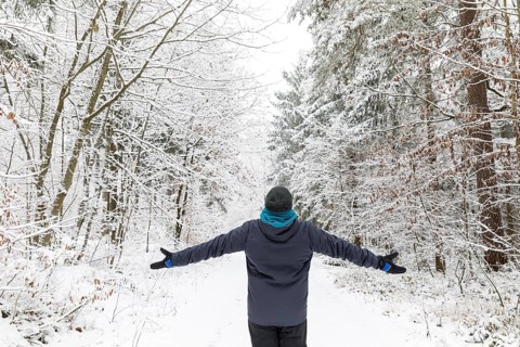 Man from behind standing with arms spread out in snowy winter forest, Tharandter Forest, Saxony,