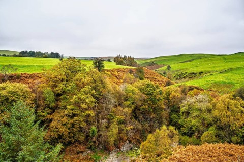 Autumn colors over Ffrwd Fawr Waterfall, Dylife, Llanbrynmair, Powys, Wales, UK