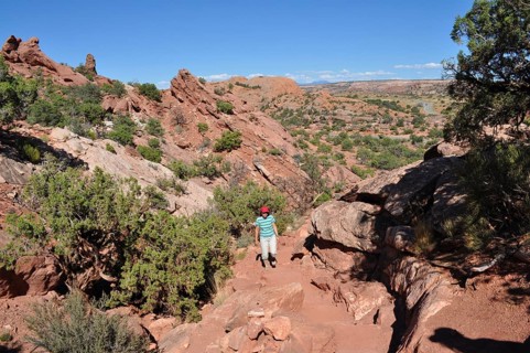Female hiker in a rocky, dry desert landscape under clear skies, Canyonlands National Park, Island