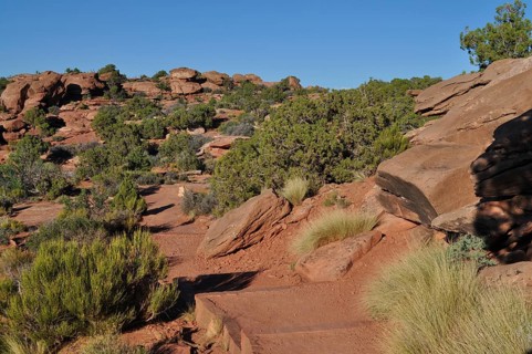 Rocky hiking trail through dry landscape with rocks and shrubs, Canyonlands National Park, Island