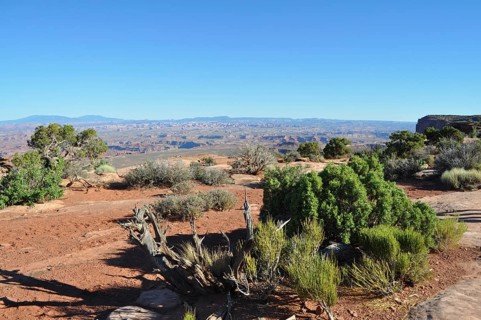 Arid desert landscape with shrubs and blue sky far away, Canyonlands National Park, Island in the