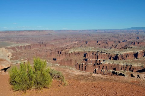 Panorama of extensive canyons with vegetation in the foreground under bright blue sky, Canyonlands