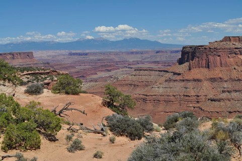 Wide view of red canyons with scattered vegetation, mountain ranges in the background, Canyonlands