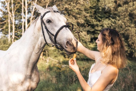 A young woman feeds a white horse a carrot in a peaceful forest. The tranquil scene captures