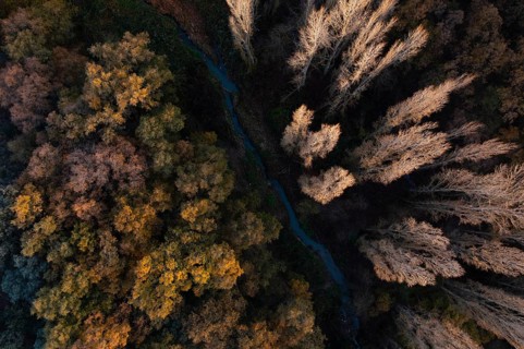 A drone captures a breathtaking autumn scene with a river snaking through a forest of changing