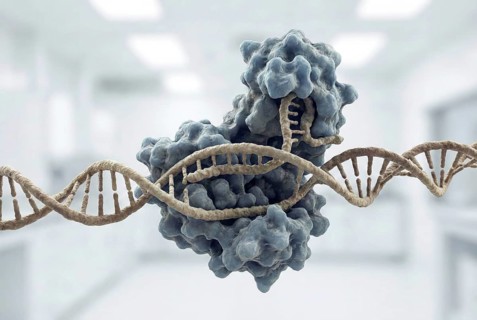 Visualization of the CRISPR-399 complex during targeted editing of a DNA double helix. The protein