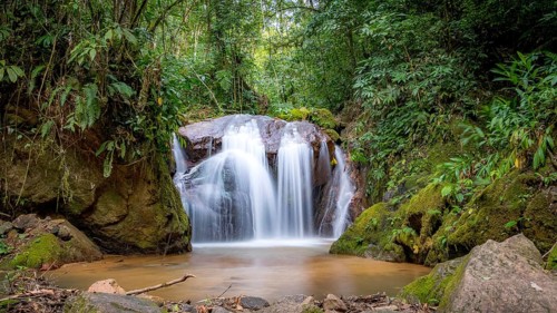 A tranquil waterfall cascades gently over moss-covered rocks surrounded by a dense, verdant forest