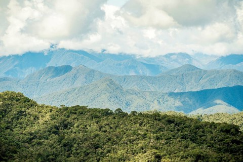 Lush green canopy foregrounds the majestic, blue-hued Andean mountains stretching under a cloudy